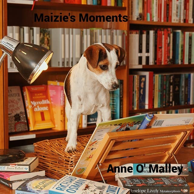 eBook Maizie's Moments Book by Anne O'Malley